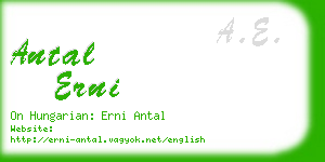 antal erni business card